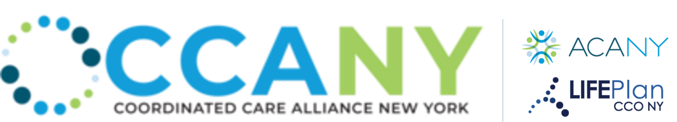 CCANY logo
